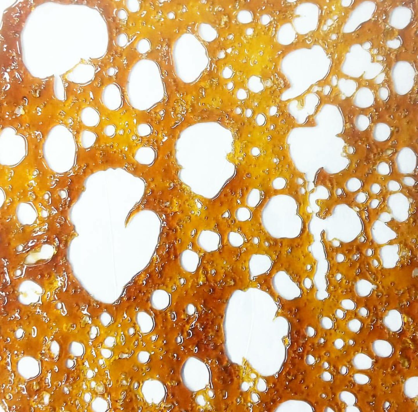 concentrate-west-edison-shatter-assorted-strains