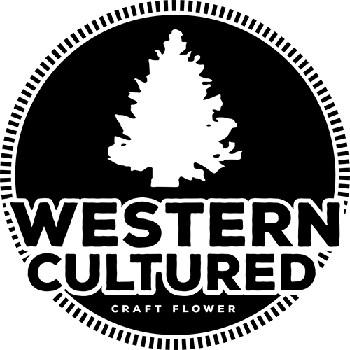 Western Culture 1G