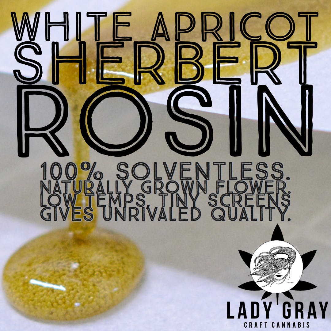 concentrate-lady-gray-gourmet-medibles-white-apricot-sherbert-rosin