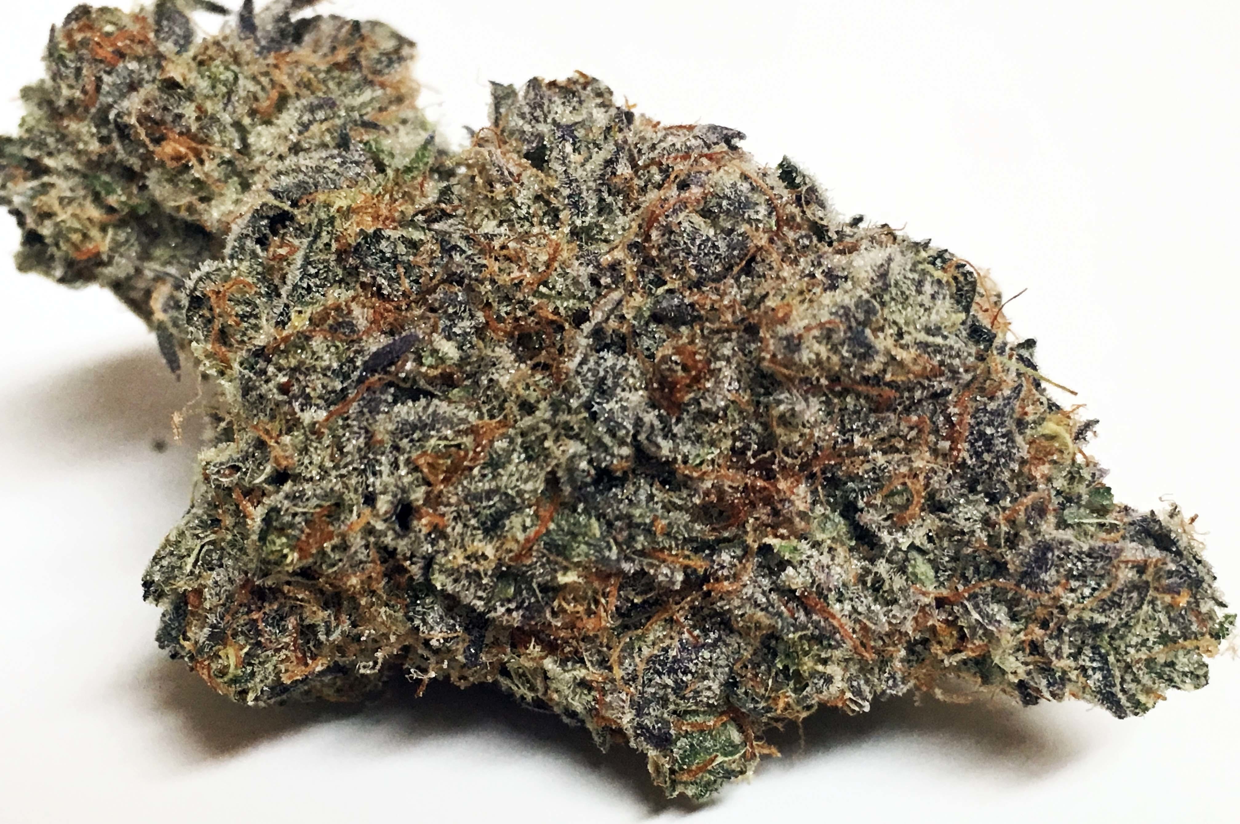 marijuana-dispensaries-979-n-la-brea-ave-los-angeles-white-buffalo-by-herbarium