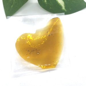 White Cookies Shatter by Cannabis Family
