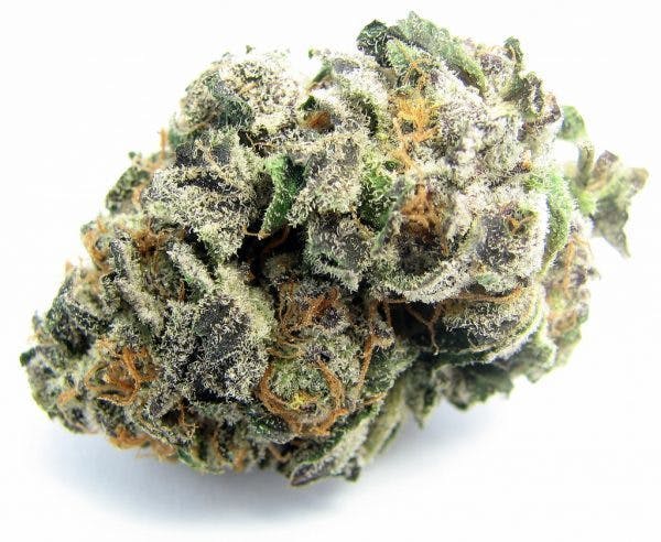 marijuana-dispensaries-1775-newport-blvd-costa-mesa-white-fire-233-exclusive