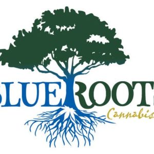 White Fire OG - Blue Roots