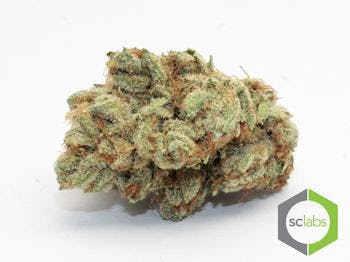 marijuana-dispensaries-114-n-brookhurst-st-anaheim-white-fire-og-top-shelf
