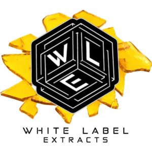 White Label Extracts - Mendo Quinn 1:1 Shatter #2428