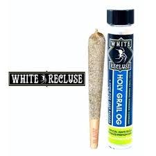 preroll-white-recluse-holy-grail-ogindica
