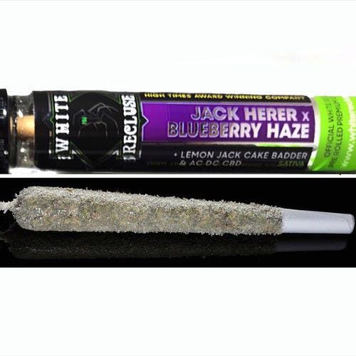 marijuana-dispensaries-harvest-collective-247-in-valley-center-white-recluse-jack-herer-x-blueberry-haze