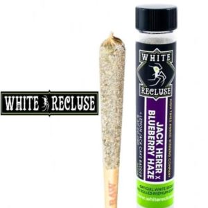 White Recluse Prerolls - Jack Herer x Blueberry Haze