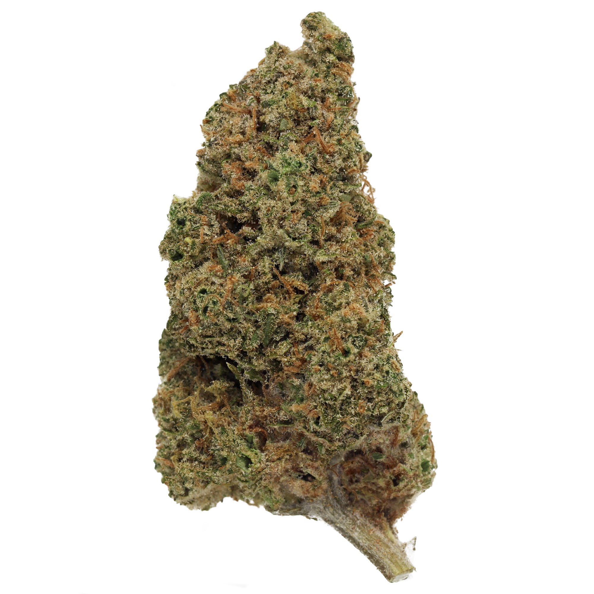marijuana-dispensaries-49-kearny-street-2c-3rd-floor-san-francisco-white-rhino-by-amplified