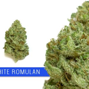 White Romulan