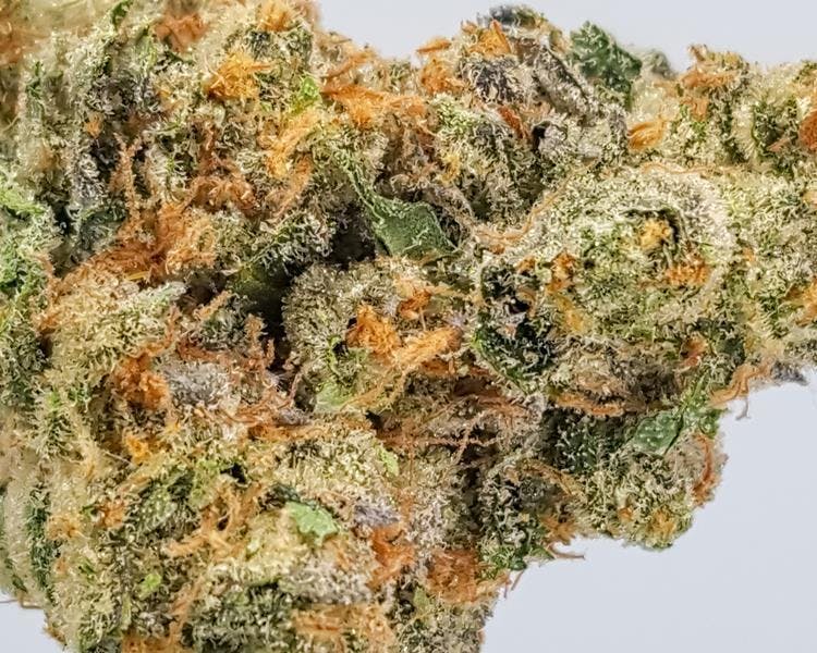 marijuana-dispensaries-150-venice-blvd-los-angeles-white-tahoe-cookies-10g-2470