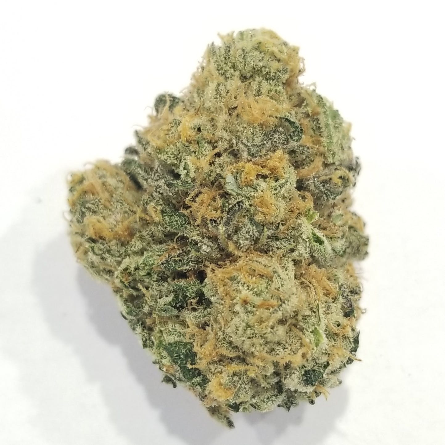 hybrid-white-tahoe-cookies-by-nelson-and-co