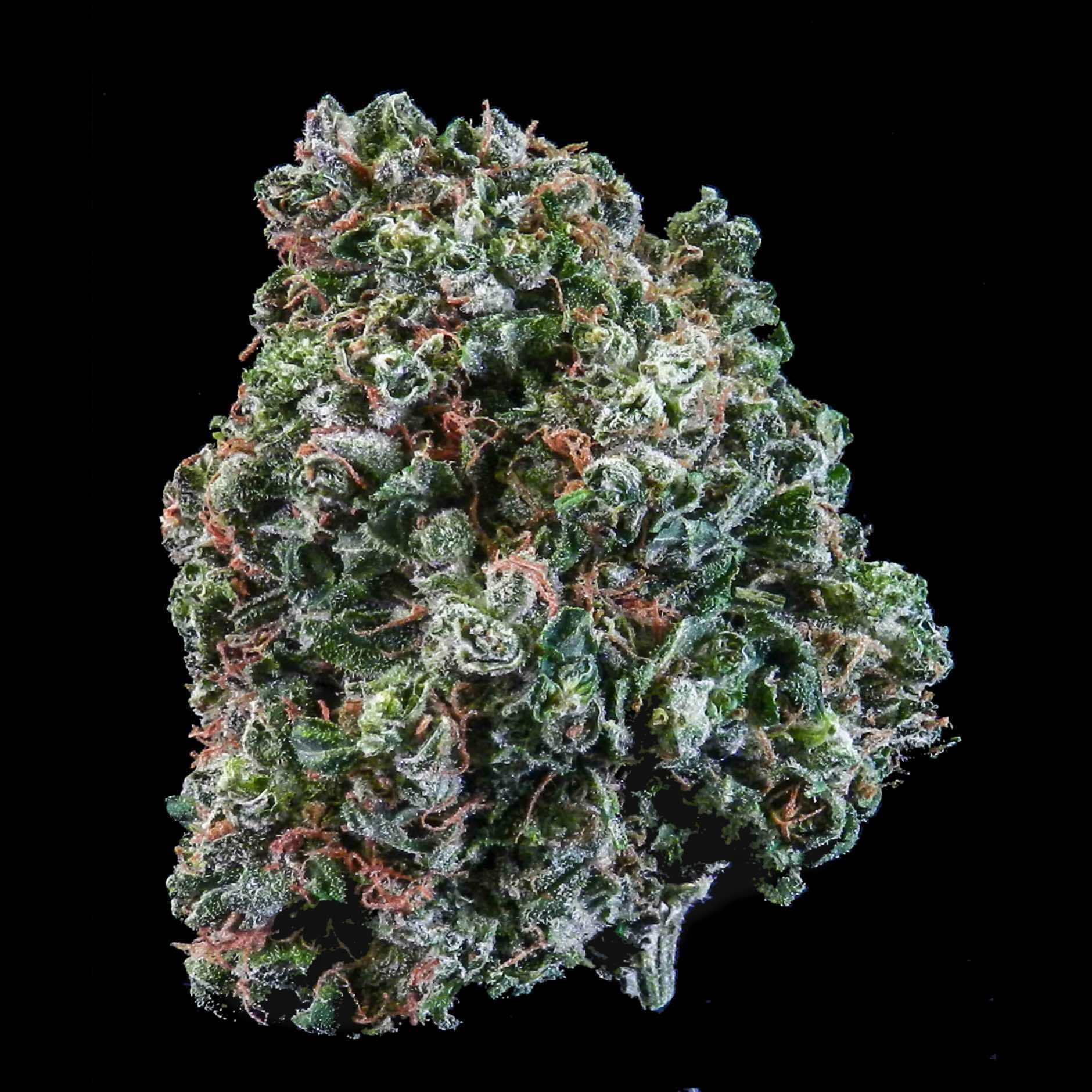 marijuana-dispensaries-3213-central-ave-ne-albuquerque-white-velvet