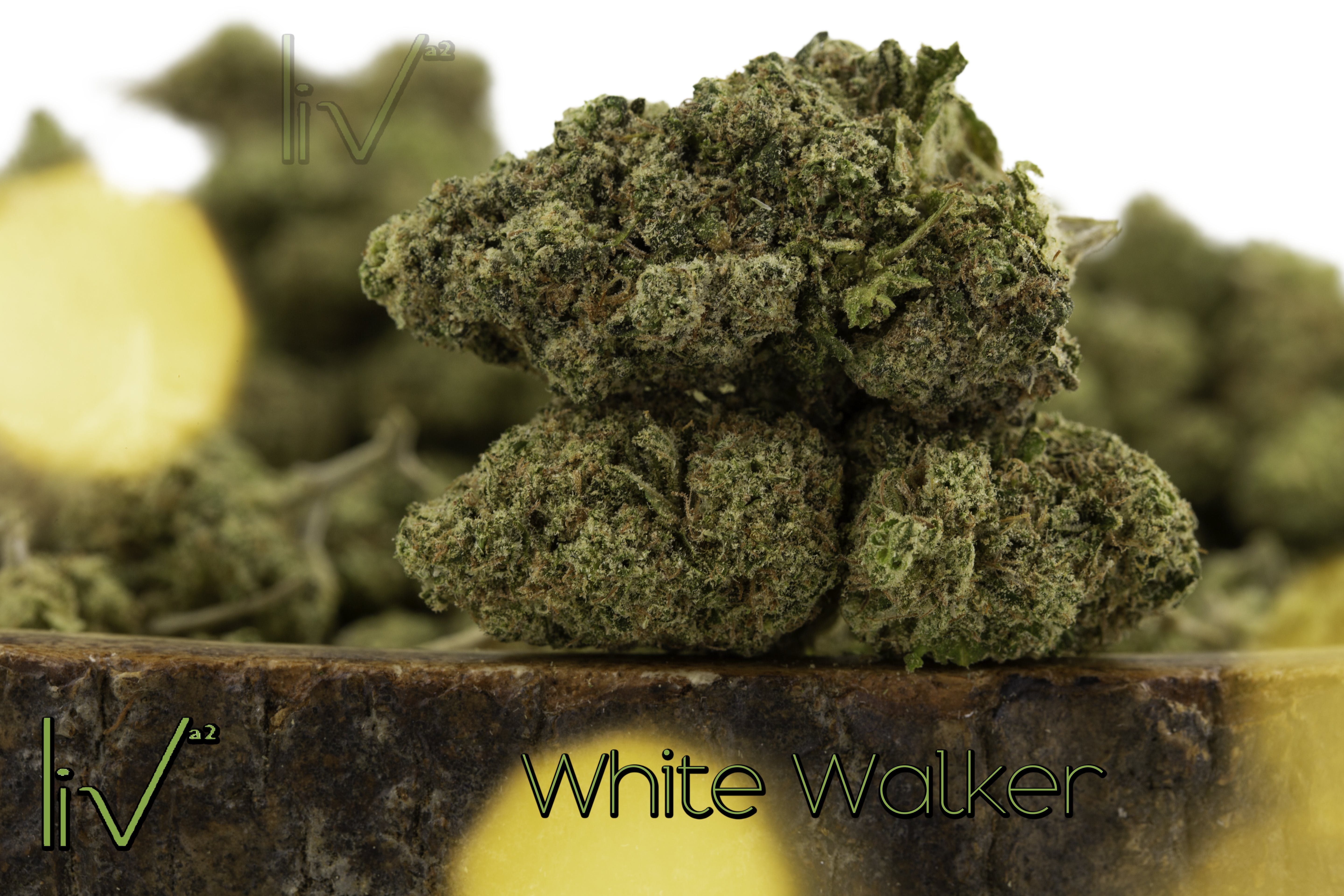 marijuana-dispensaries-603-e-william-st-ann-arbor-white-walker-hybrid-sativa