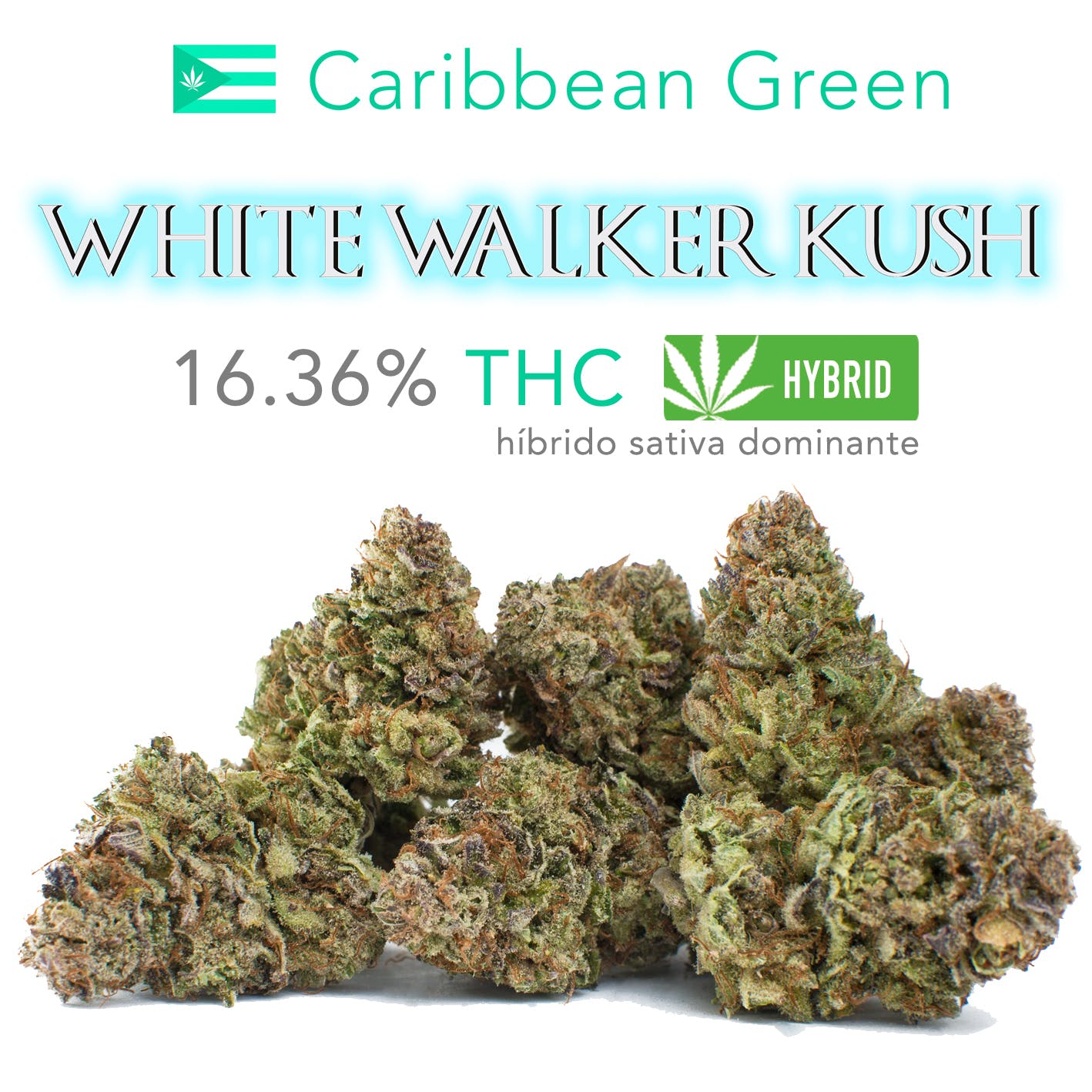 White Walker Kush (Top Shelf) - 16.37% THC