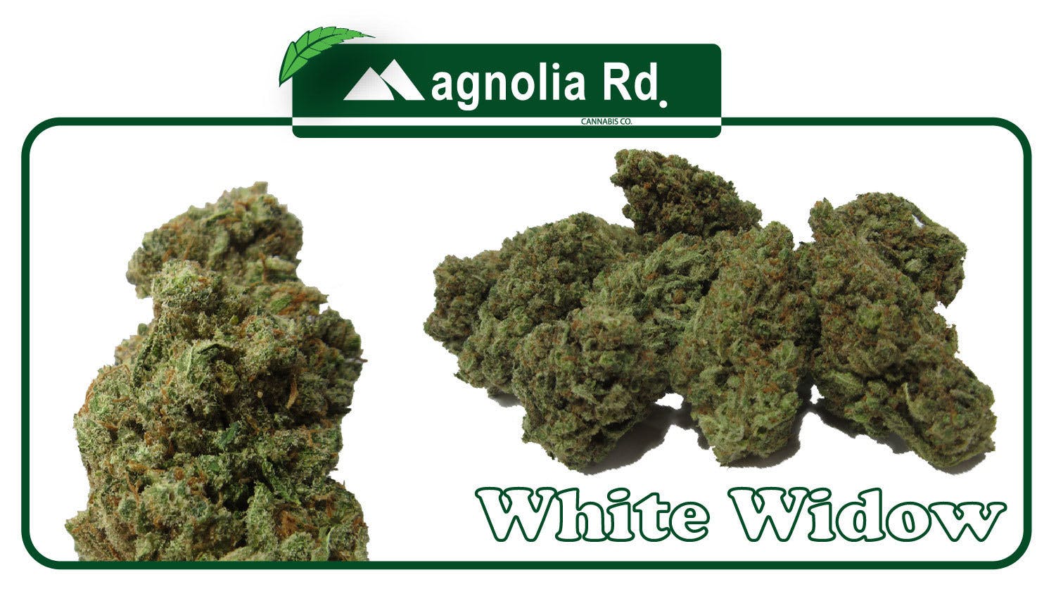 marijuana-dispensaries-1750-30th-st-unit-84a-boulder-white-widow-19-25-gold