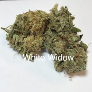 White Widow- 50/50 Hybrid