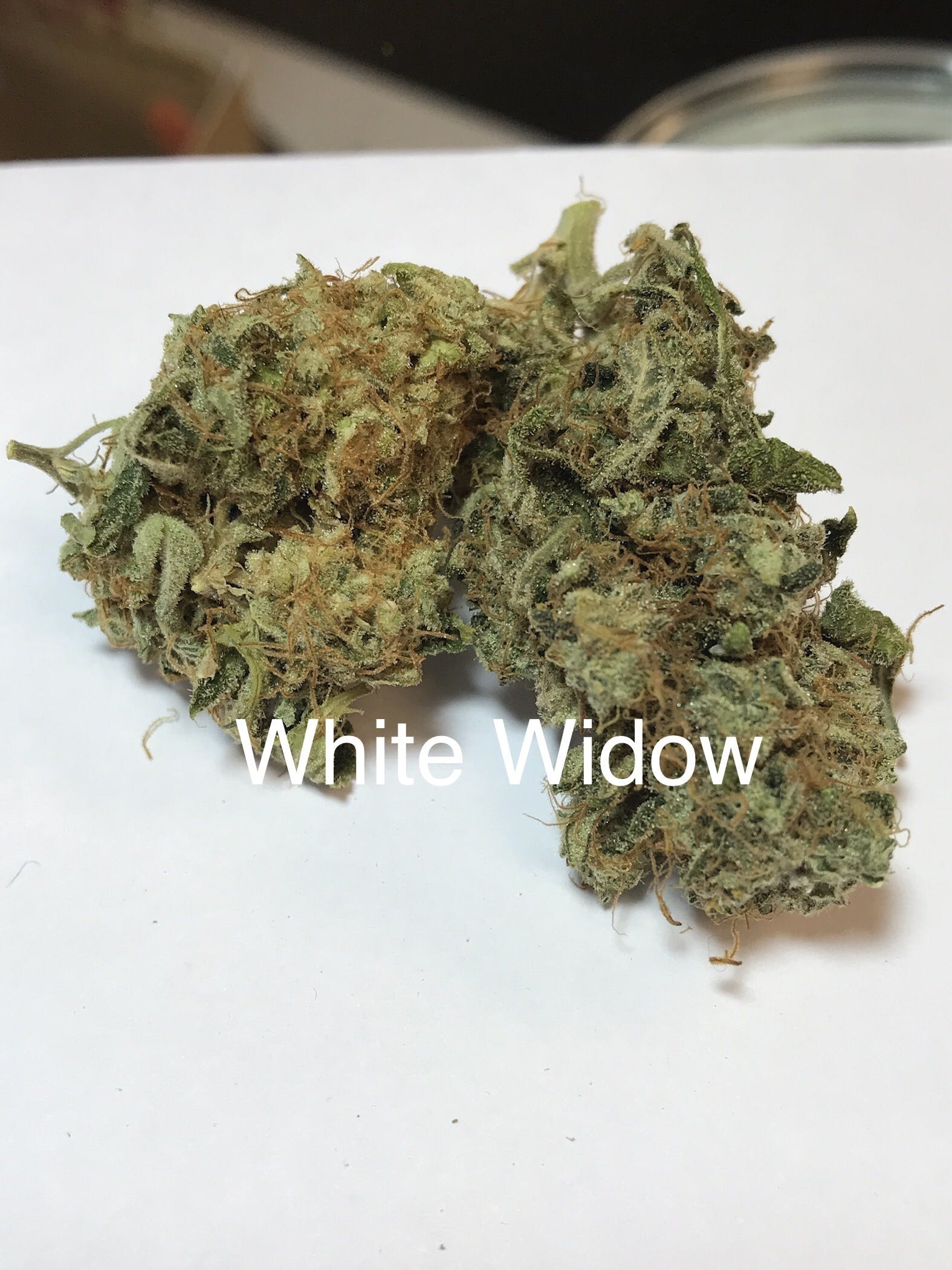marijuana-dispensaries-924-nw-150th-street-edmond-white-widow-5050-hybrid