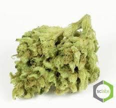 marijuana-dispensaries-13659-magnolia-ave-corona-white-widow-premium-5g-40-2420