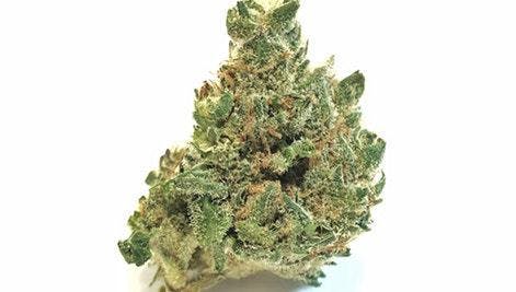 marijuana-dispensaries-1775-newport-blvd-costa-mesa-white-wookies-exclusive