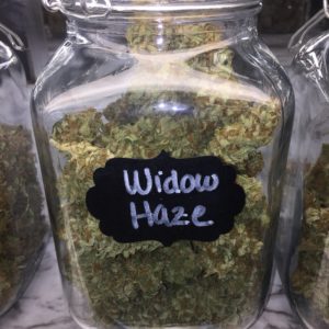 Widow Haze