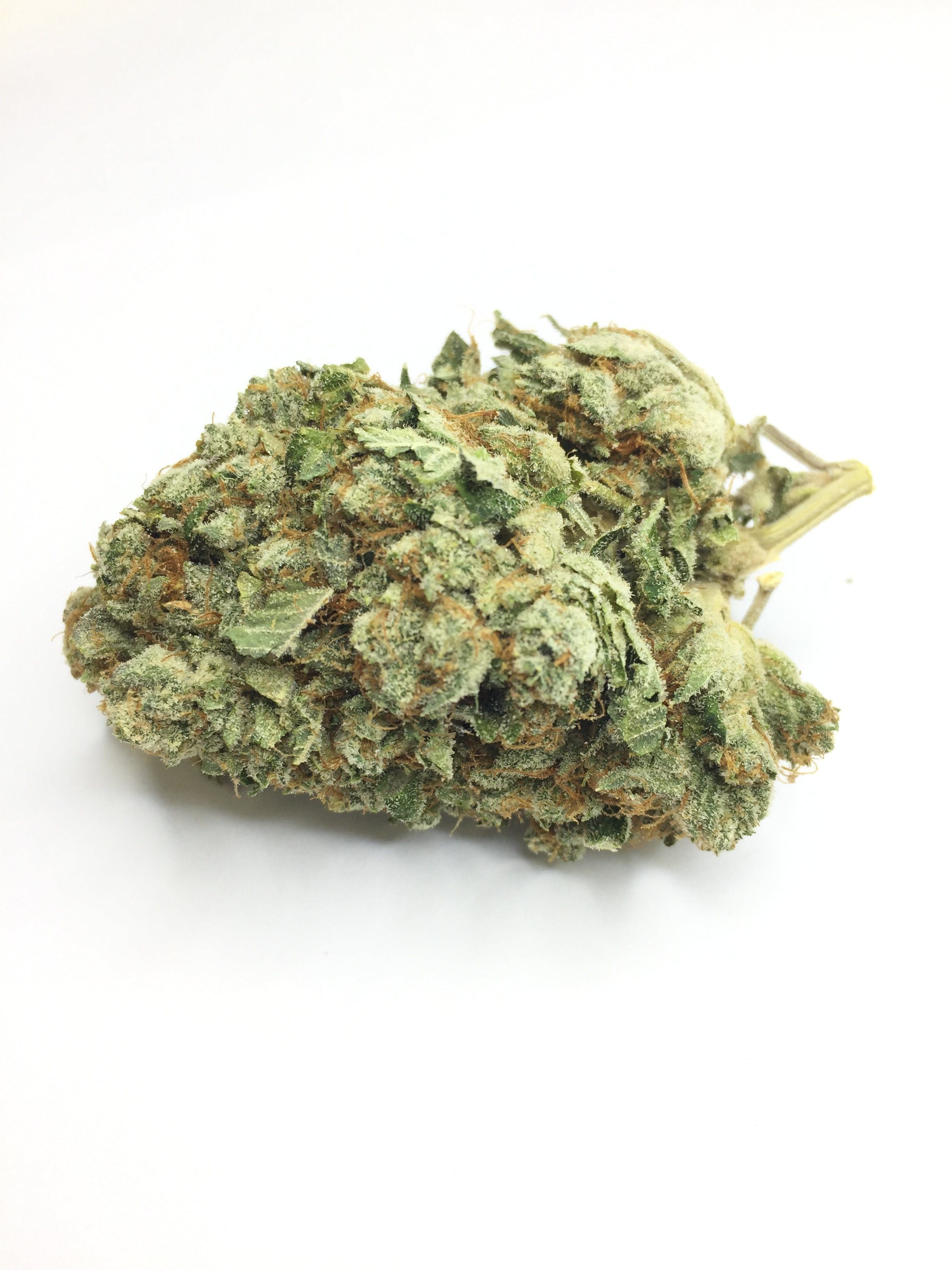marijuana-dispensaries-6102-vineland-ave-north-hollywood-wifi-233-by-og-raskal-platinum