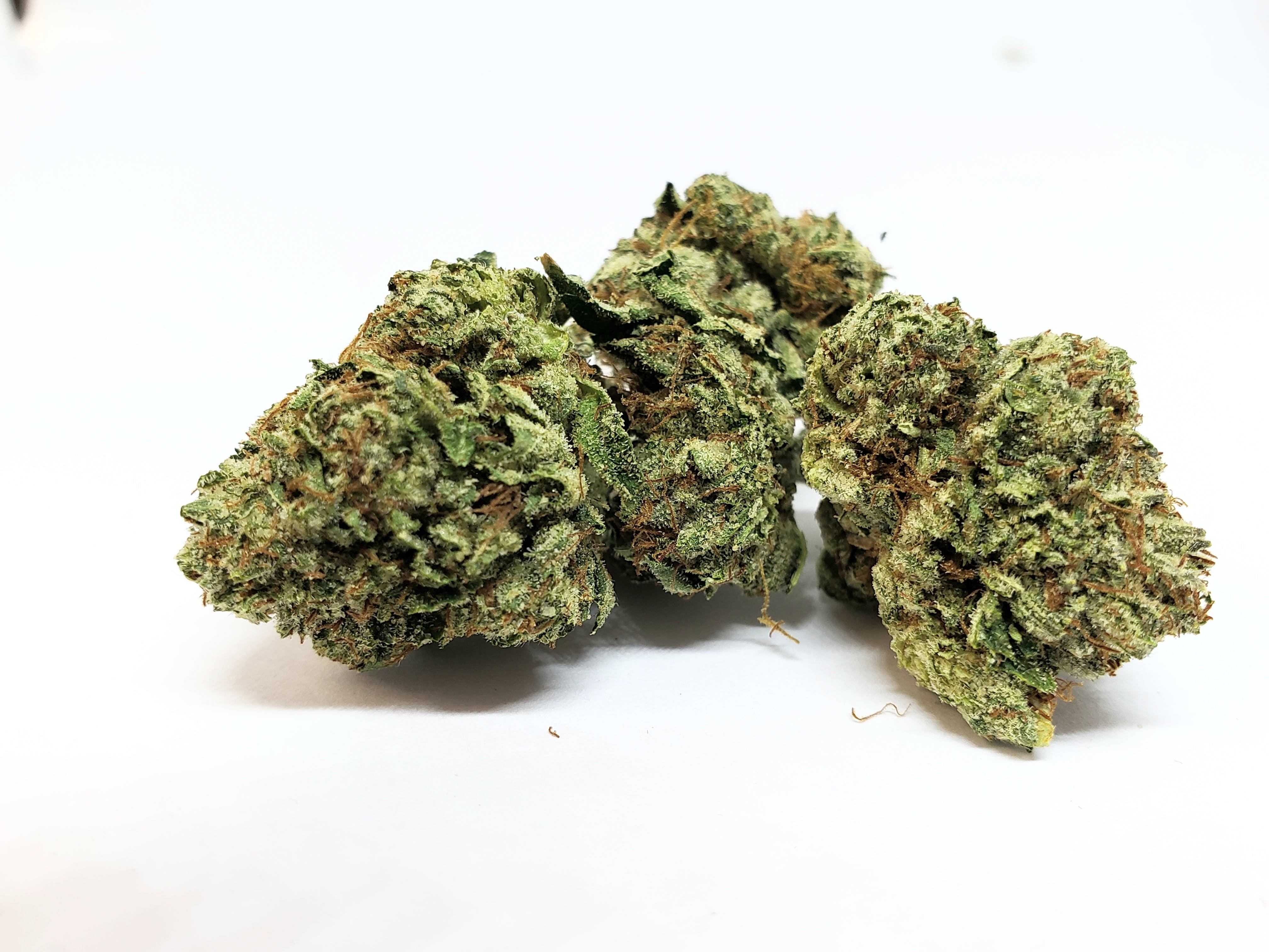 marijuana-dispensaries-326-n-vermont-ave-los-angeles-wifi-og-5g-4045