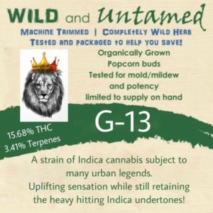 Wild & Untamed: G13 Haze