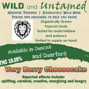 Wild & Untamed: Very Berry Cheesecake