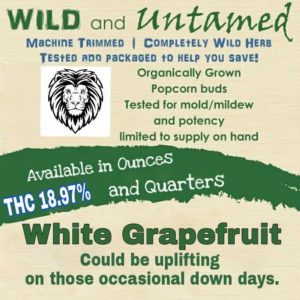 Wild & Untamed: White Grapefruit