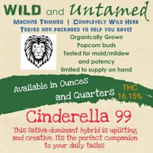 Wild and Untamed - Cinderella 99