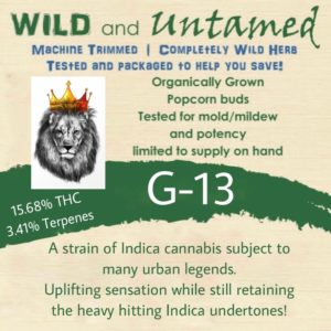 Wild and Untamed - G13