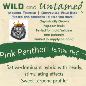 Wild and Untamed - Pink Panther