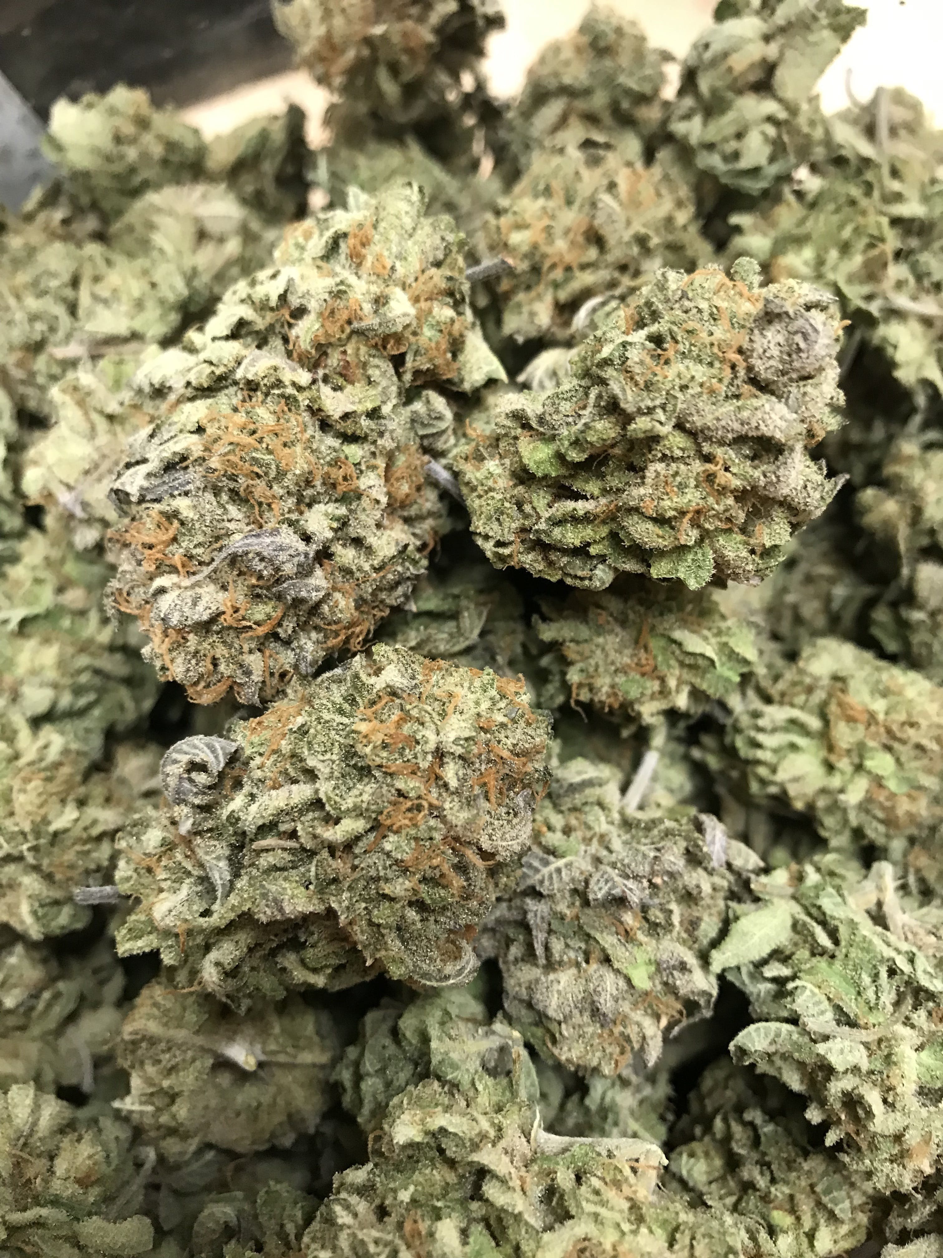 marijuana-dispensaries-18441-vanowen-st-reseda-wildberry