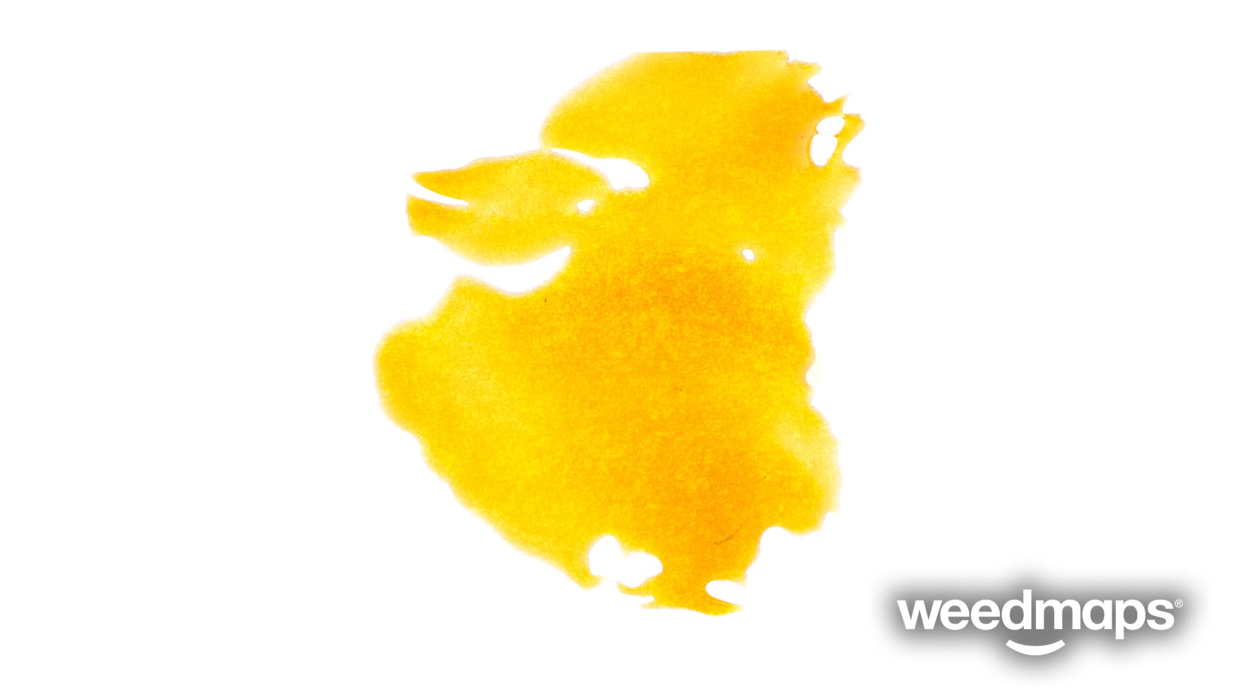 concentrate-willamette-valley-alchemy-med-false-teeth-x-lost-soul