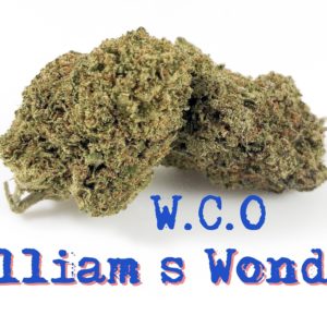 William's Wonder