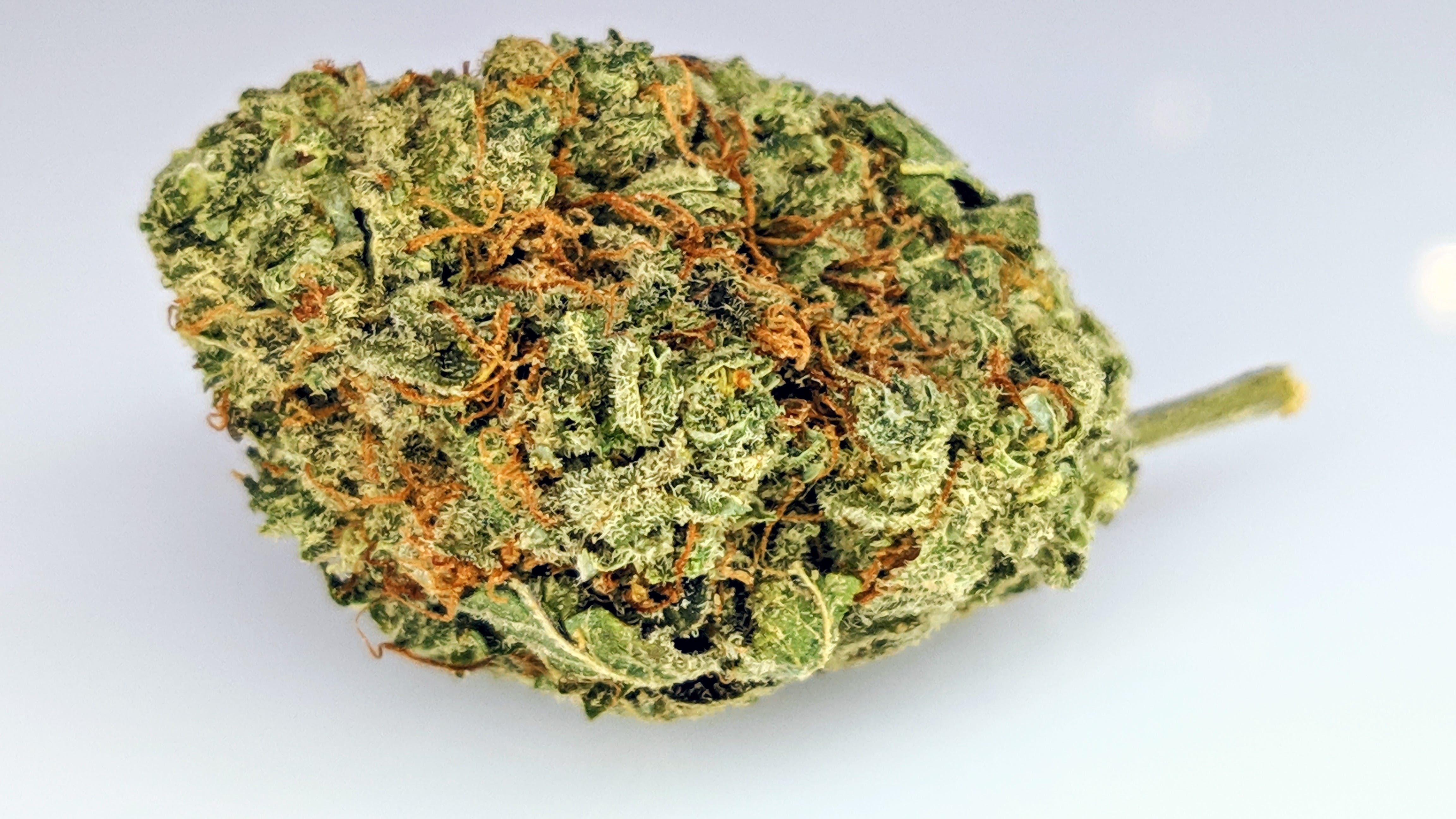 marijuana-dispensaries-2326-n-interstate-dr-norman-willy-wonka