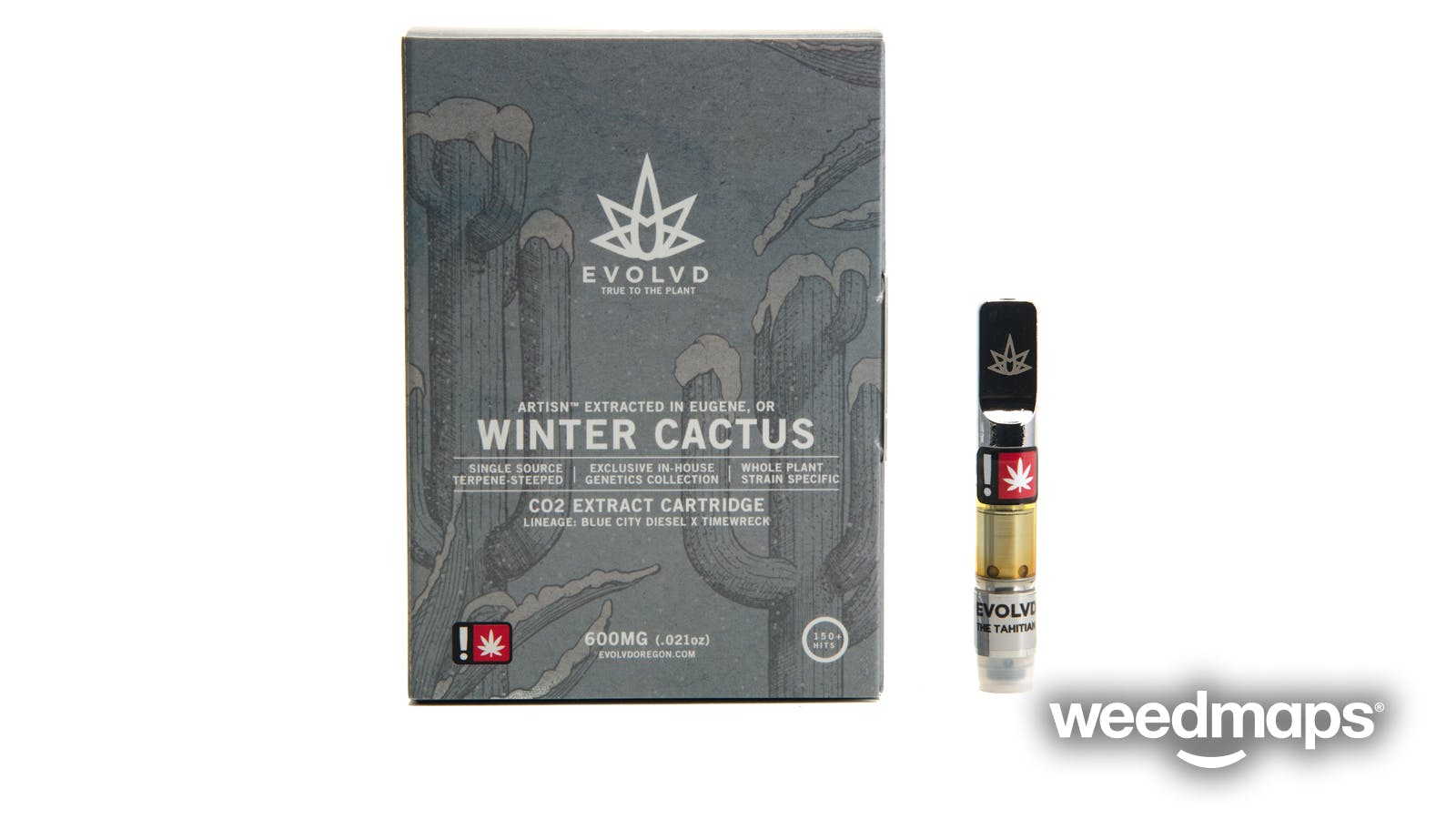 concentrate-winter-cactus-73-02-25-thc-9-06-25-thcv-2-22-25-cbc