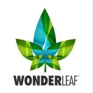 Wonderleaf Premium Syringe 1g