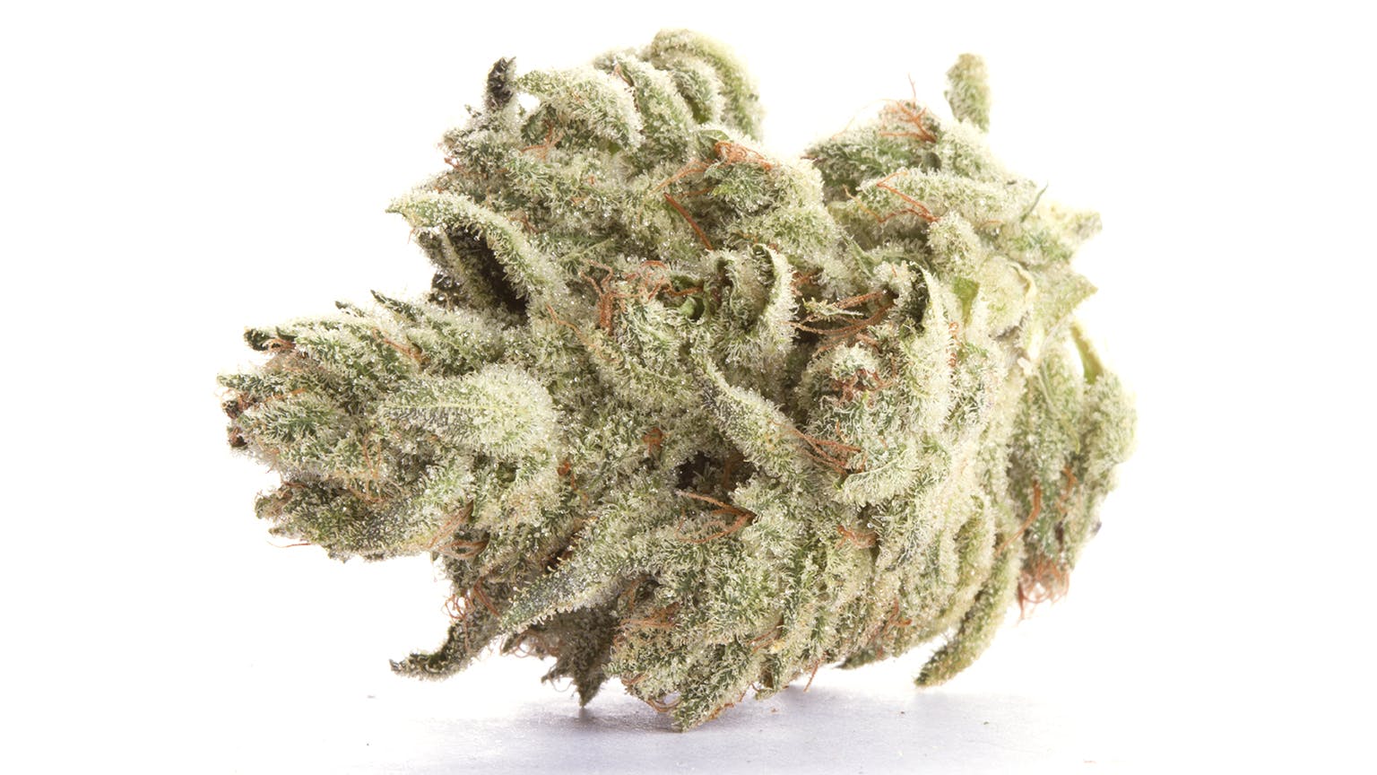 marijuana-dispensaries-4380-boulder-hwy-las-vegas-wookie