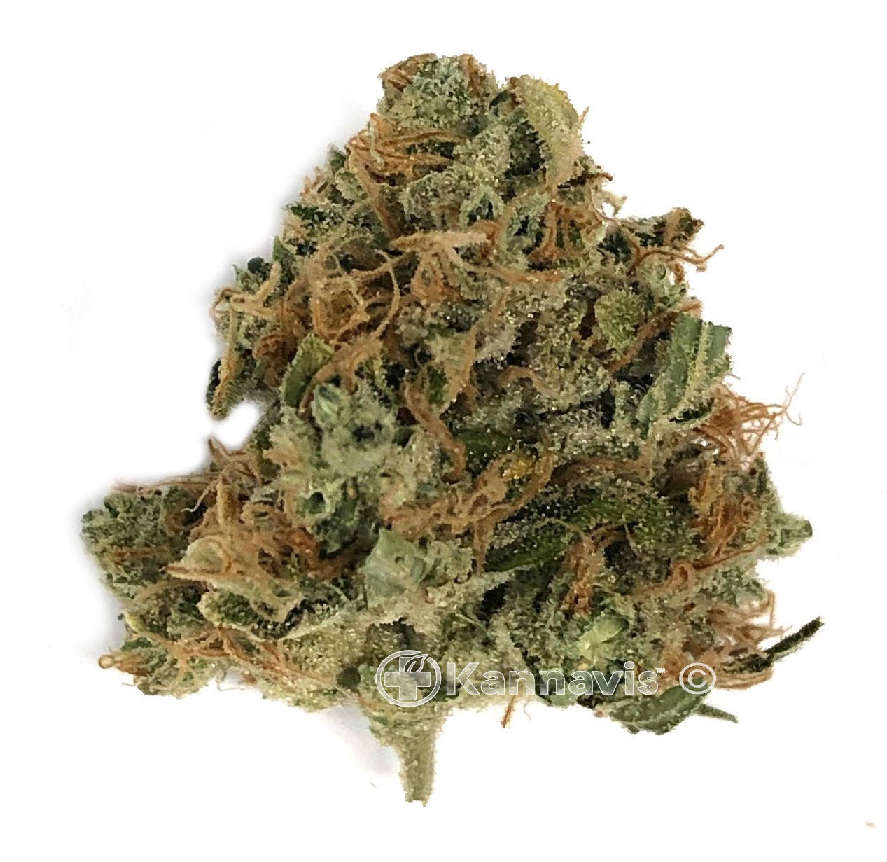 marijuana-dispensaries-8709-fingerboard-rd-frederick-wristband-og-by-evermore-cannabis-company