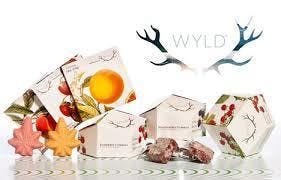 Wyld Blood Orange Sativa Chocolates - 10 pack