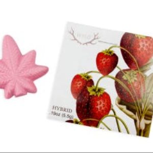 Wyld - Strawberry White Chocolate Single