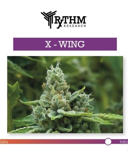 indica-x-wing