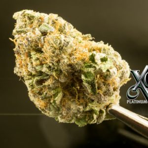 XG Platinum Caviar Bud