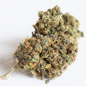 XJ-13 (5g for $35)