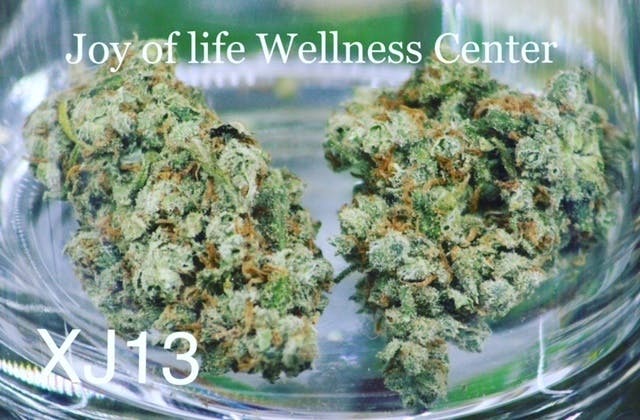 marijuana-dispensaries-142-w-oasis-rd-palm-springs-xj13