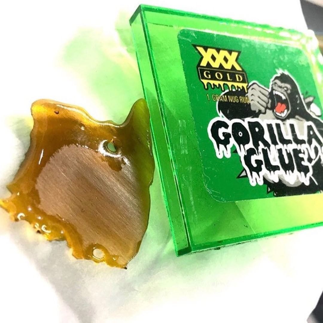 XXX Gold Shatter - Gorilla Glue