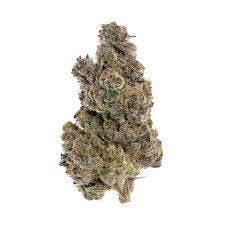 marijuana-dispensaries-17246-vanowen-street-van-nuys-xxx-og-exclusive