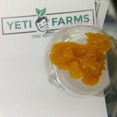 Yeti Farms Lemon Sour Diesel Live Resin